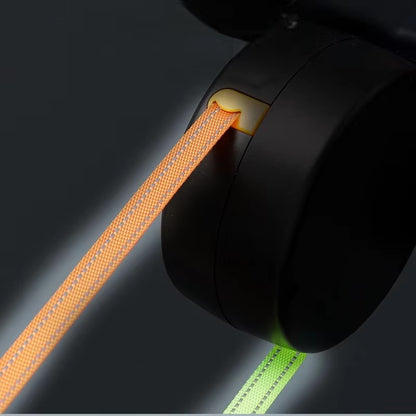TwirlFree | The 360° Infinite Dog Leash
