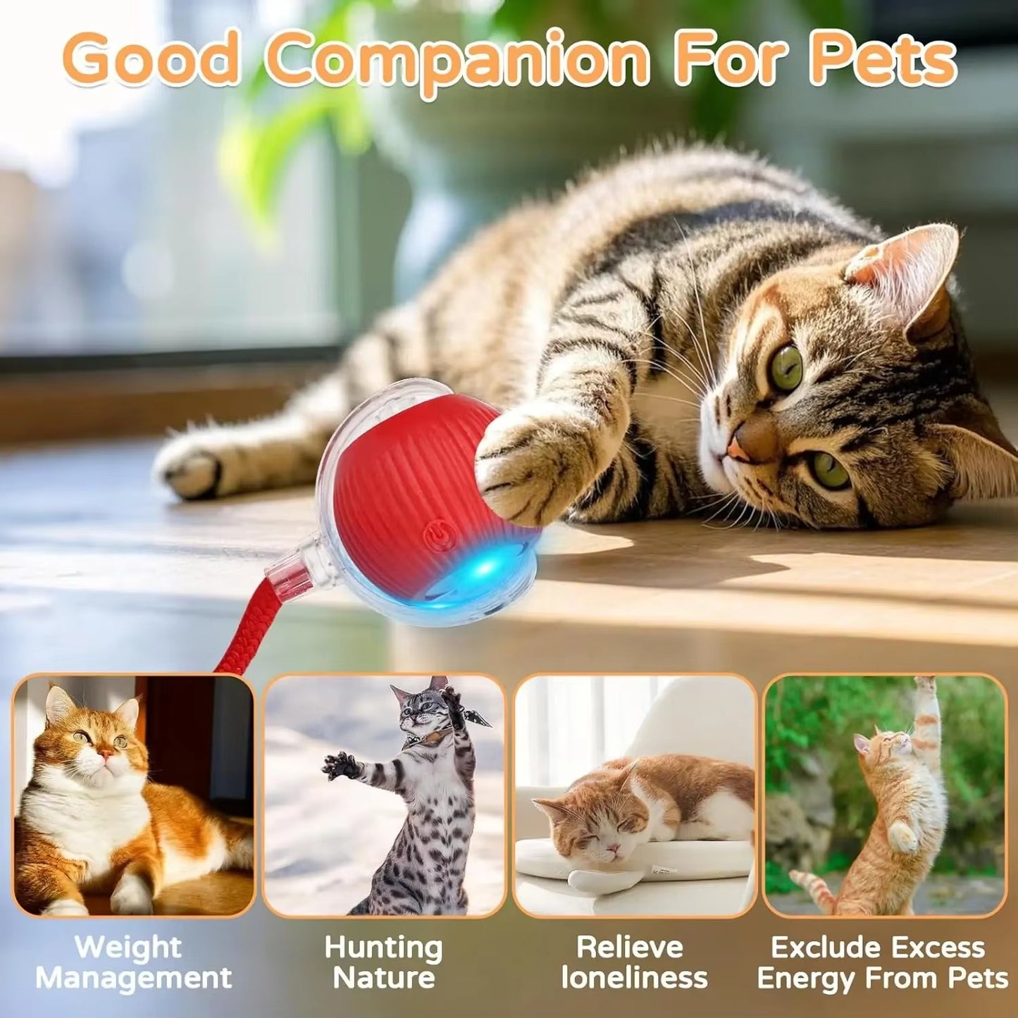 Smart Motion-Activated Dog & Cat Tailball