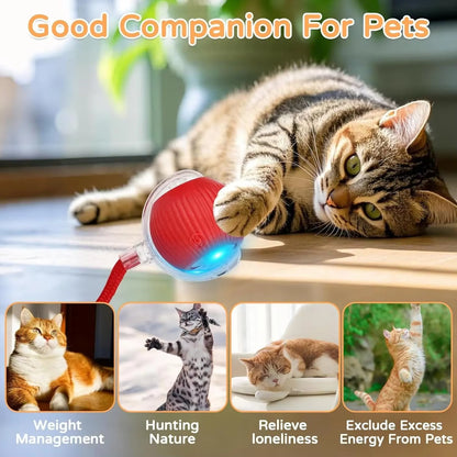 Smart Motion-Activated Dog & Cat Tailball