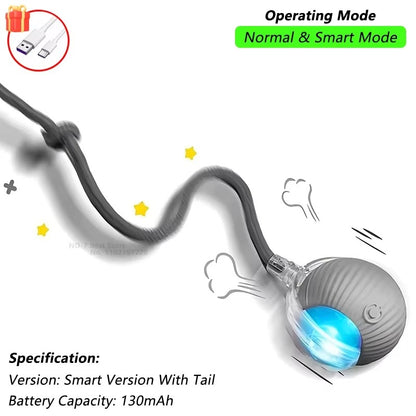 Smart Motion-Activated Dog & Cat Tailball