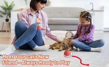 Smart Motion-Activated Dog & Cat Tailball