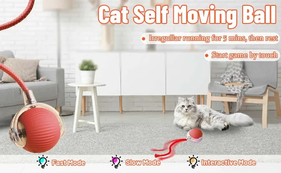 Smart Motion-Activated Dog & Cat Tailball