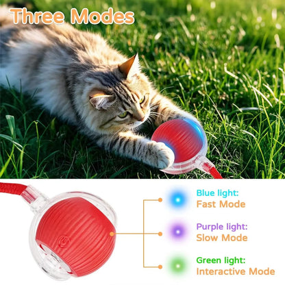 Smart Motion-Activated Dog & Cat Tailball