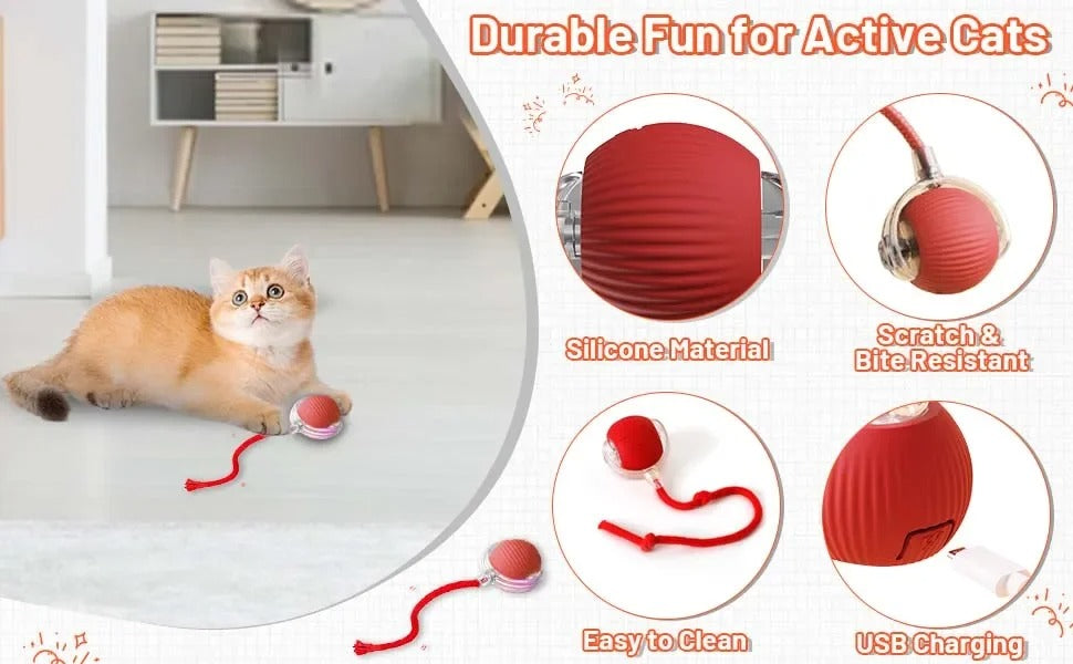 Smart Motion-Activated Dog & Cat Tailball