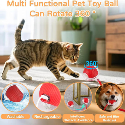 Smart Motion-Activated Dog & Cat Tailball