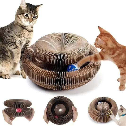 The Dream Scratch Dome