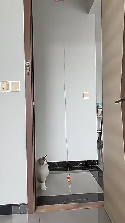 Dual Action Automatic String & Feather Toy for Cats