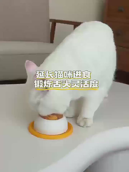 Interactive Slow Feeder & Treat Dispenser