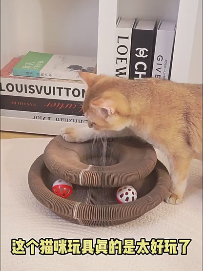 The Dream Scratch Dome